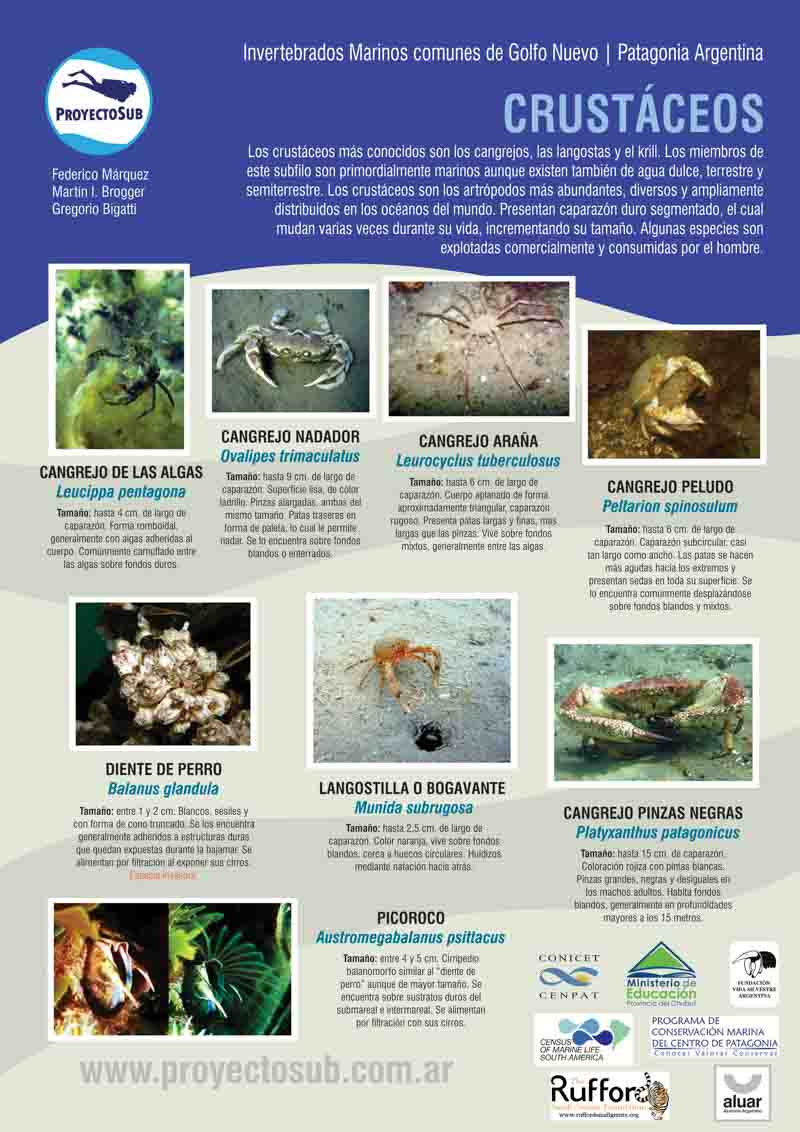 Crustáceos
