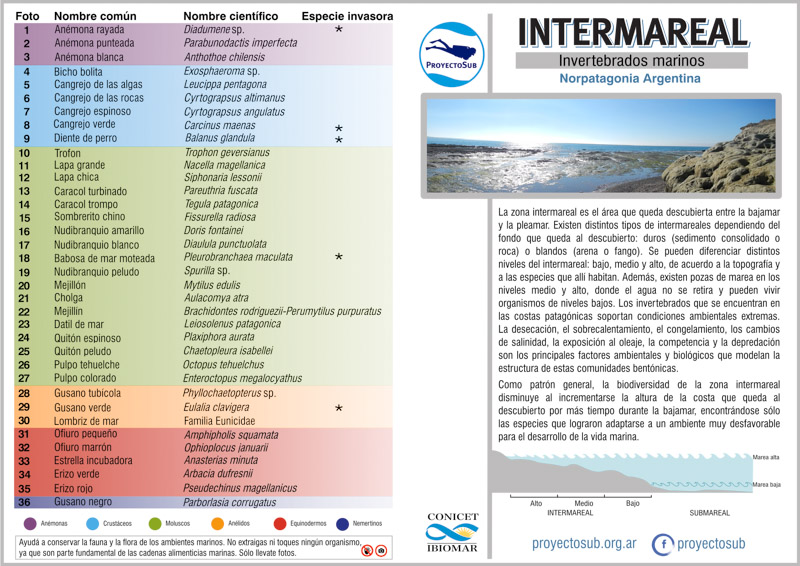 Intermareal 2019 (frente)