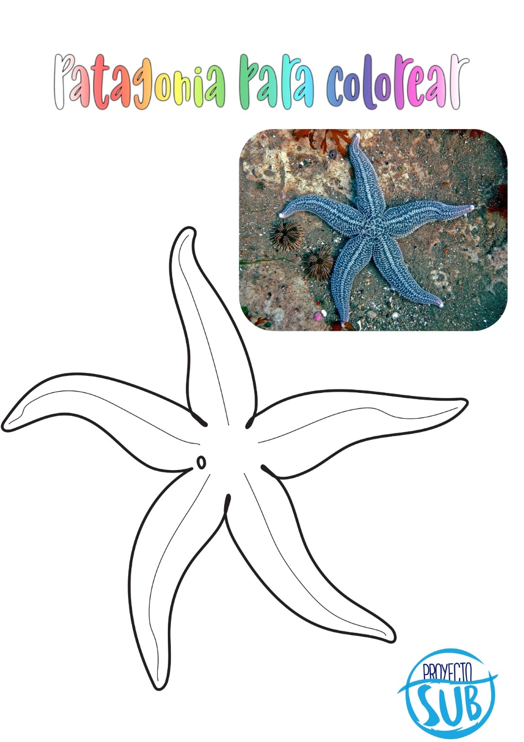Estrella de mar