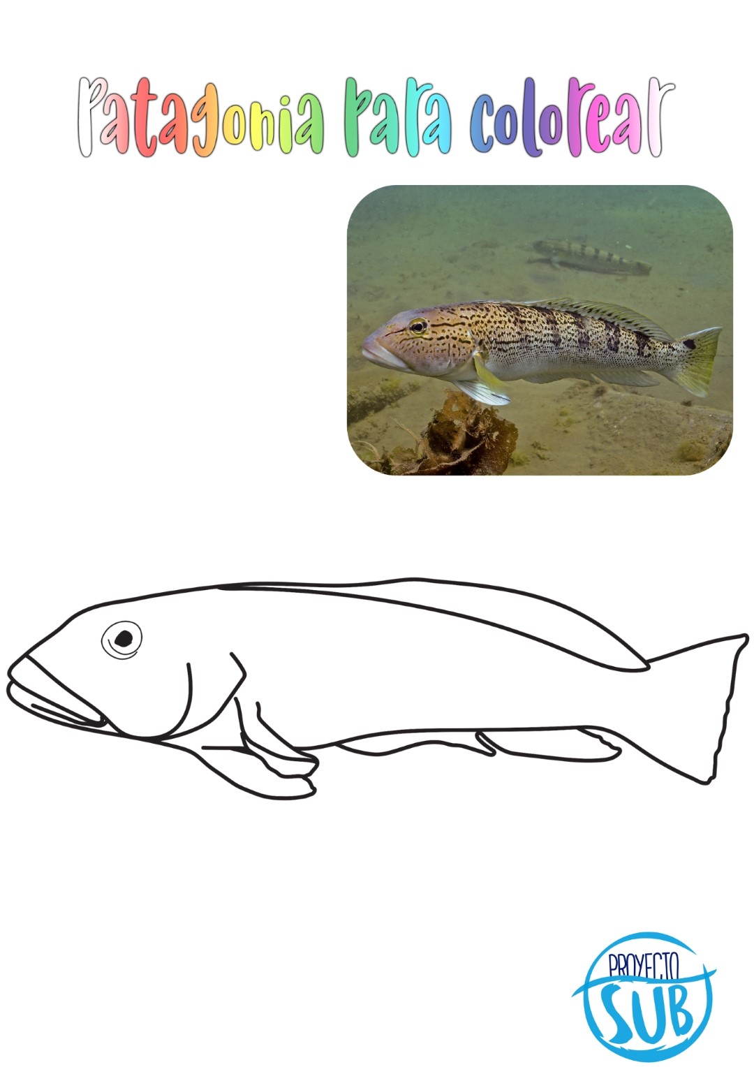 Salmón de mar