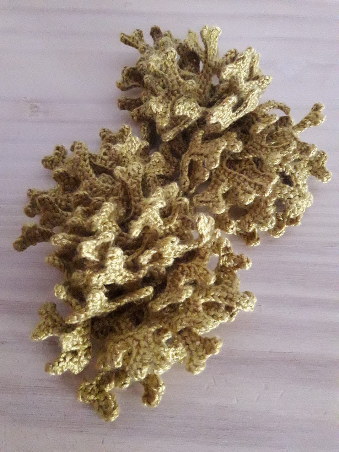 Alga parda (Dictyota)