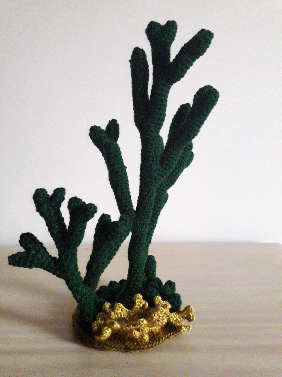 Alga verde (Codium)
