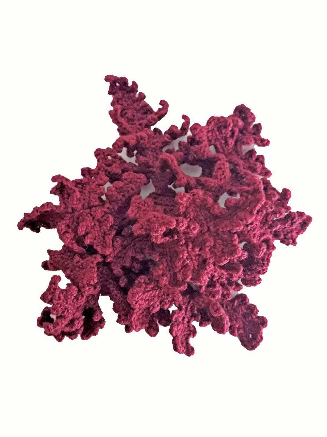 Alga roja