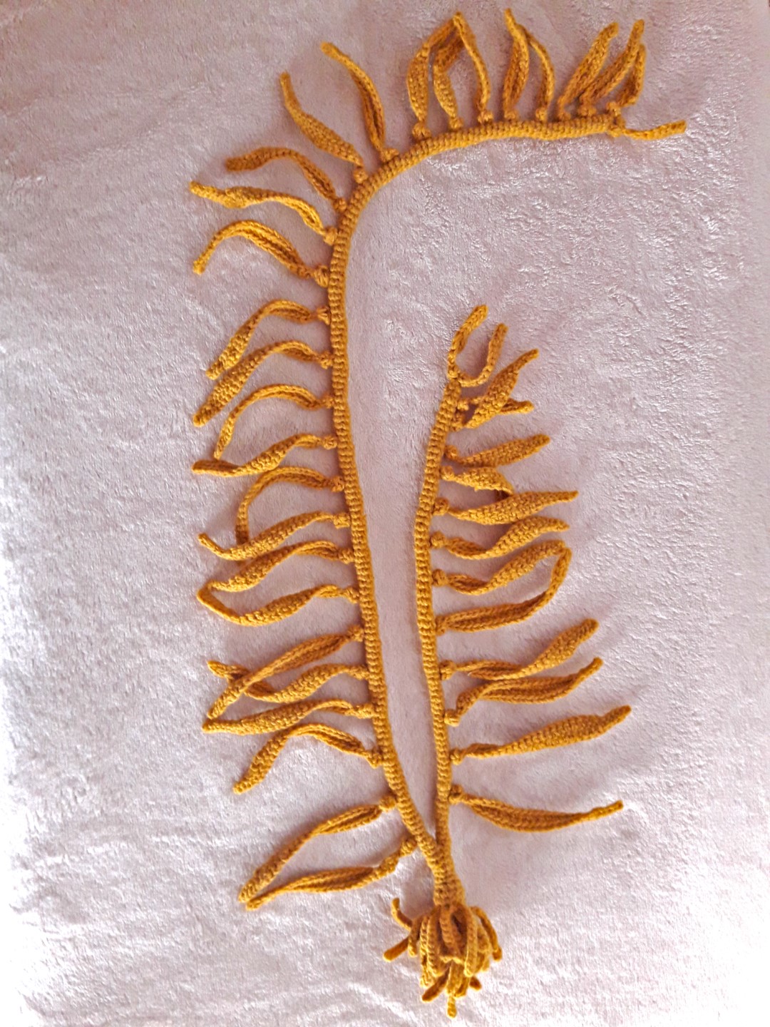 Cachiyuyo (M. pyrifera)